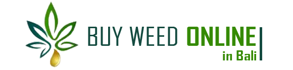 Buy weed online in Bali logo Buy Weed Online In Bali