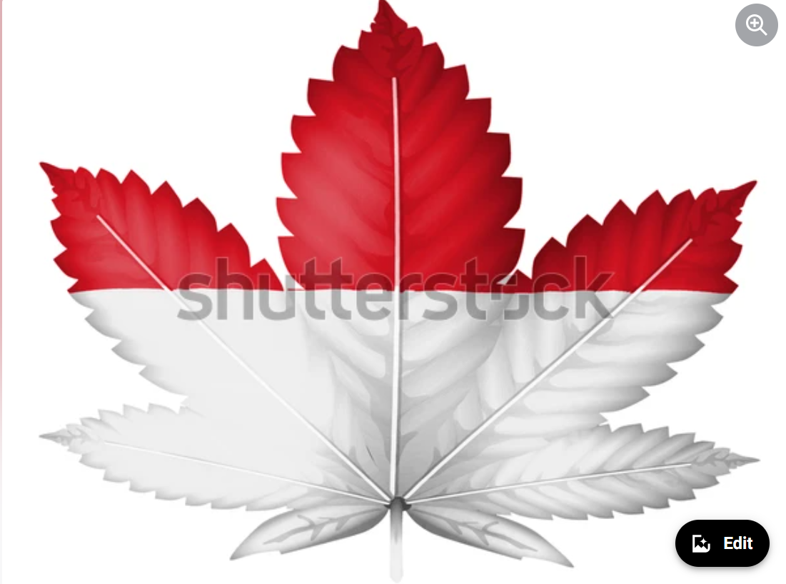 Screenshot (218) Buy Weed Online In Bali Indonesia